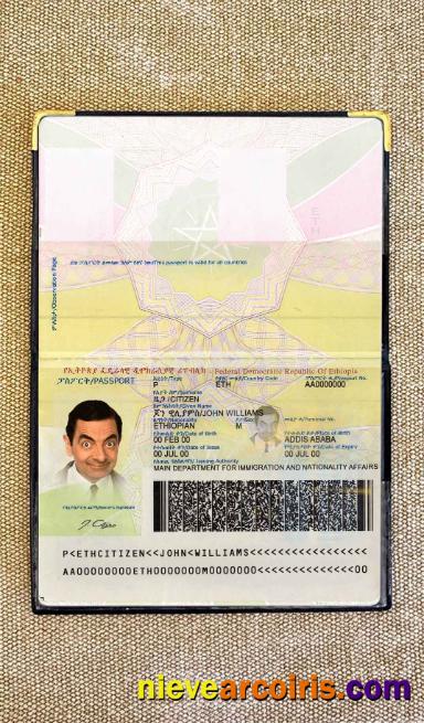 Ethiopia passport photolook